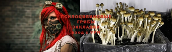 каннабис Богданович