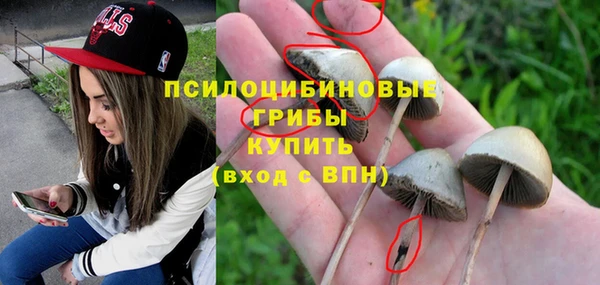 каннабис Богданович