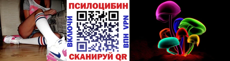 что такое   Тихорецк  Псилоцибиновые грибы Psilocybine cubensis 